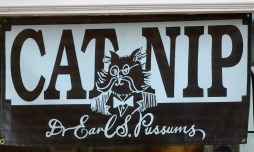 Catnip Sign-Salem